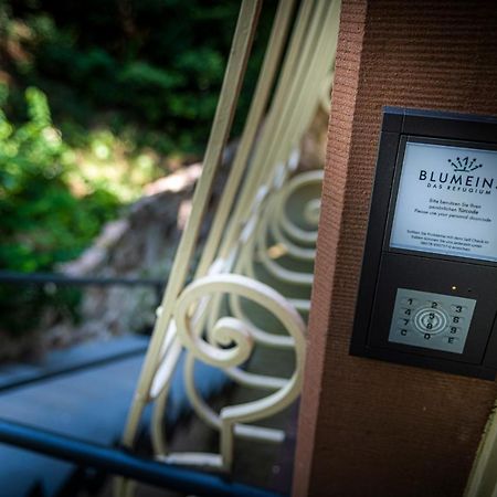 Blumeins - Das Refugium Groß-Umstadt エクステリア 写真
