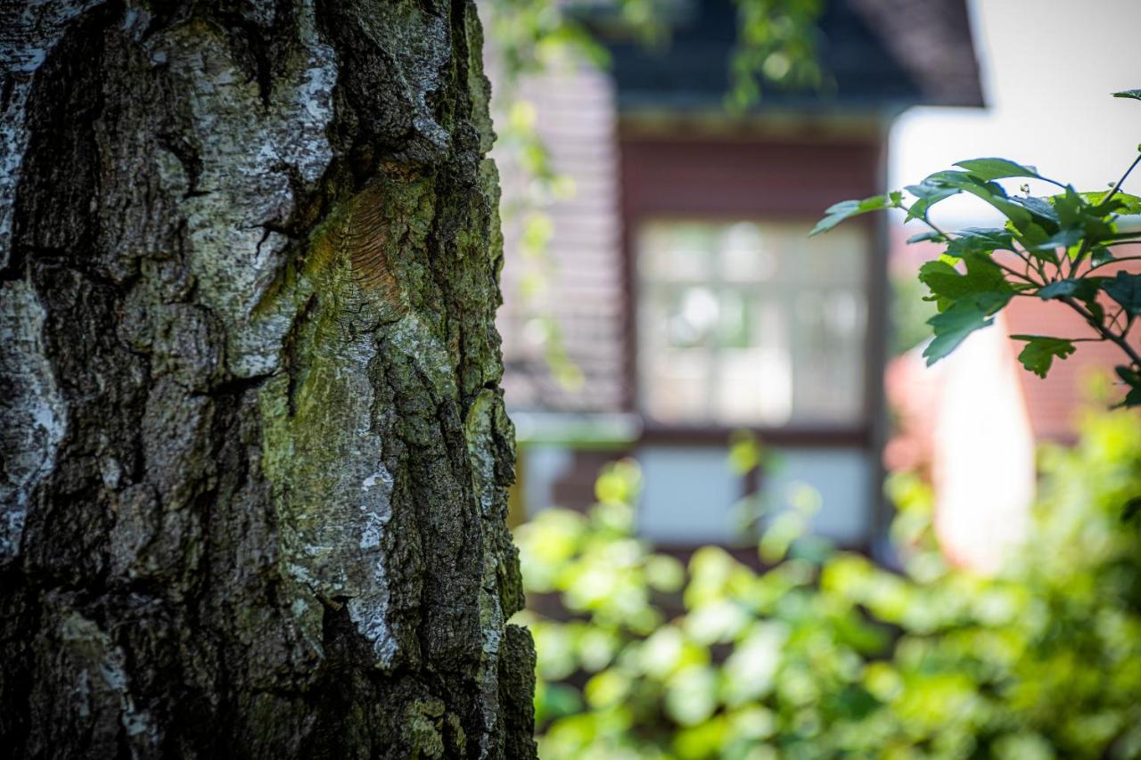 Blumeins - Das Refugium Groß-Umstadt エクステリア 写真